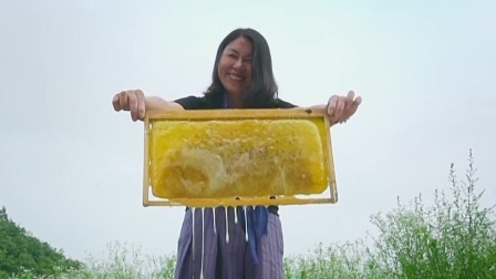 与梦想合拍 养“蜂”女侠的甜“蜜”事业