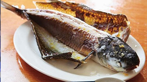 人气美食 泰国料理明炉乌头鱼最招牌