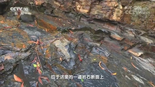 地理中国 《地理中国》 20181130 秘境寻踪·秘境七娘山（上）