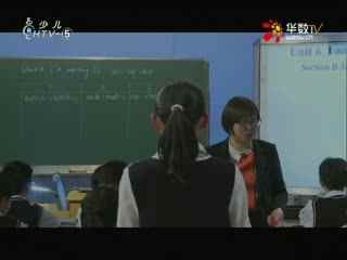 名师公开课 《Unit 6 I'm watching TV (SectionB 3a~Self Check)》授课教师：凌旭群