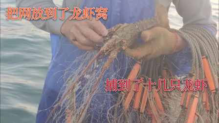 南澳岛赶海日记 彪哥一不小心把网放到了龙虾窝，一下子上了十几只龙虾，这运气也是没谁了