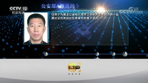天网 《天网》 20190716 寸纸危机