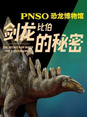 PNSO恐龙博物馆：剑龙比伯的秘密
