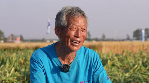 金秋时节五谷丰登 见证全国农业丰收季