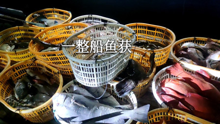 南澳岛赶海日记 捕鱼真的需要运气，这一整船渔获还有两筐东星斑能值好几万，真的是羡慕不来