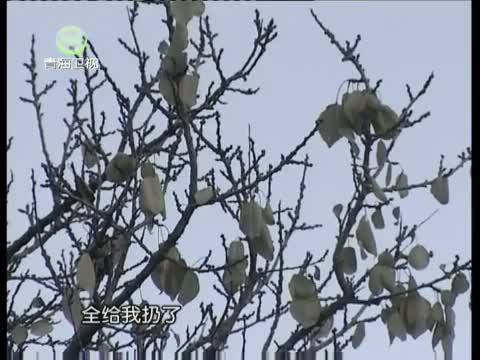 江源扫描 《江源扫描》 20140222 字海孤航寻古今（上）