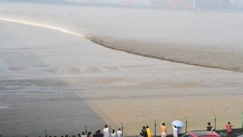 1818黄金眼 1818黄金眼20190821