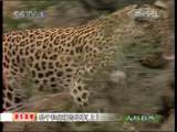 人与自然 人与自然 2010年 第12期 2010-12-23