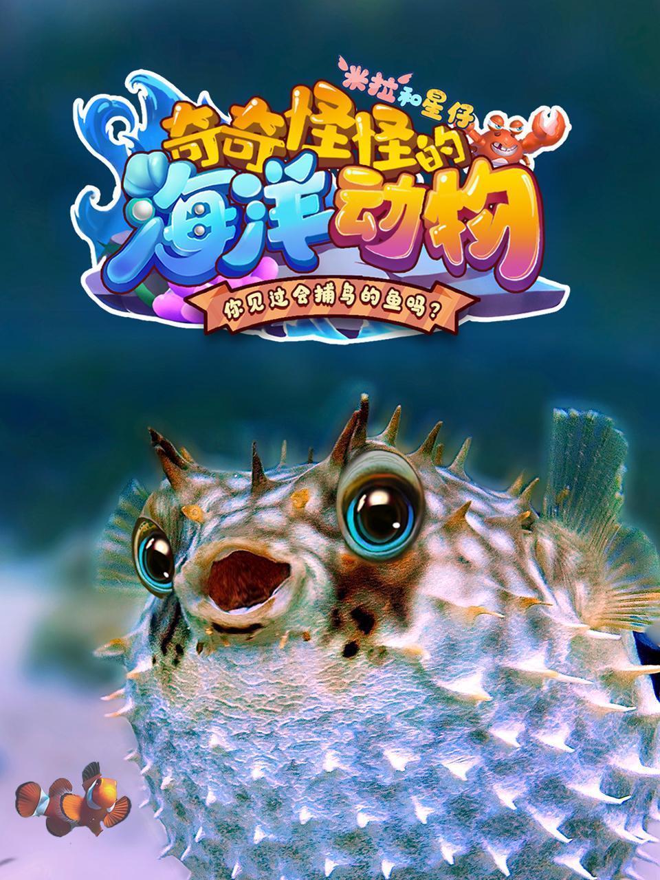 米拉和星仔：奇奇怪怪的海洋动物