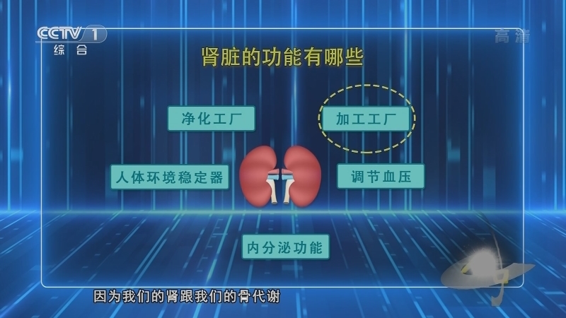 《人口》 20210901 关注肾脏健康