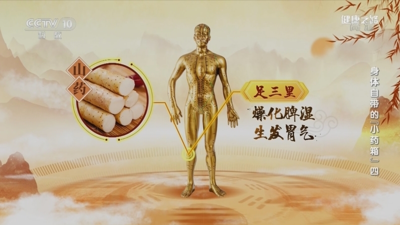 健康之路 《健康之路》 20221111 身体自带的“小药箱”（四）