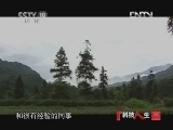 科技人生 《科技人生》 20121009 蛙鸣蛇舞