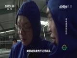 走近科学 《走近科学》 20160615 全国食品安全宣传周特别节目 食品工厂的秘密之追根溯源放心肉