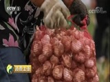 消费主张 《消费主张》 20180601 “蒜你狠”为何变“蒜你惨”？