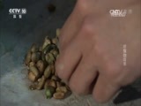 我爱发明 《我爱发明》 20170216 挤爆咖啡果