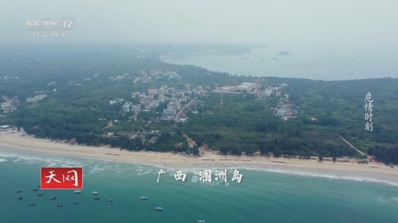 天网 《天网》 20250912 危情时刻