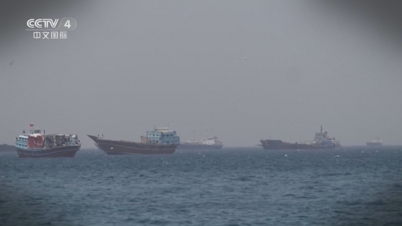《海峡两岸》 20260508