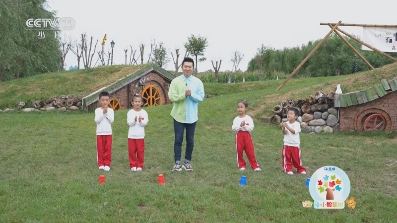 小小智慧树 《小小智慧树》 20231013