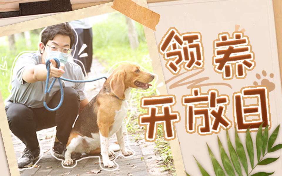 百分之二的爱 爱的传递