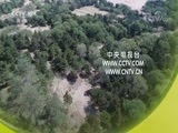 探索发现 《探索发现》 20180717 2018考古进行时 第二季 康平契丹贵族墓（下）