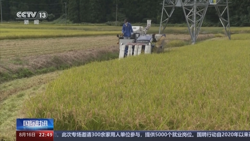 国际时讯 《国际时讯》 20240816