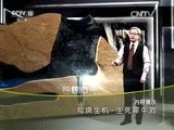 地理中国 《地理中国》 20150829 险境生机·生死犀牛洞