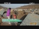 远方的家 《远方的家》 20140117 百山百川行（186）——伏牛山 国色牡丹 洛水寻踪