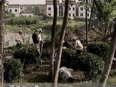 经典传奇 古墓奇闻录之龙袍古墓与万人坑之谜