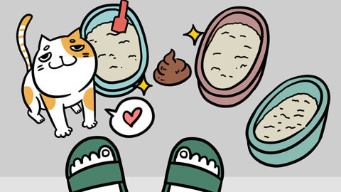喵客帝国 扎心吗？猫大人其实很烦你