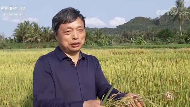 致富经 《致富经》 20200602 现代农夫 米里淘金
