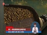 星期天报道 《星期天报道》 20170604