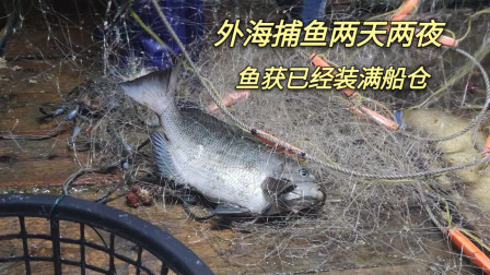 南澳岛赶海日记 彪哥在外海捕鱼两天两夜，渔获装了满满一船舱，准备满载而归了
