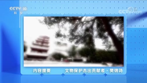 人物&middot;故事 《人物·故事》 20200512 文物保护杰出贡献者·樊锦诗
