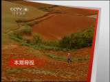 远方的家 《远方的家》 20110531 在红土地上撒野