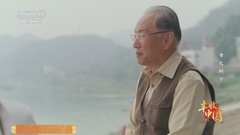 《黄皮树下》 第7集 “人活着，总要留下自己的味道”
