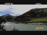 远方的家 江河万里行 第121集 尼洋河 山水共话情意长 20141015 《远方的家》
