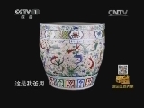 寻宝 《寻宝》 20140827 走进江西大余