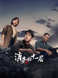 消失的十一层追剧挖证会