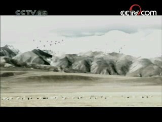 民歌&middot;中国 民歌·中国 2008年 第110期