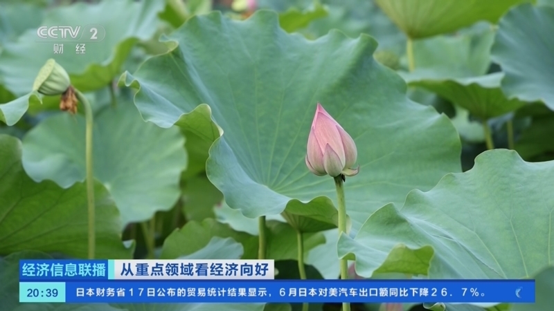 经济信息联播 《经济信息联播》 20250717