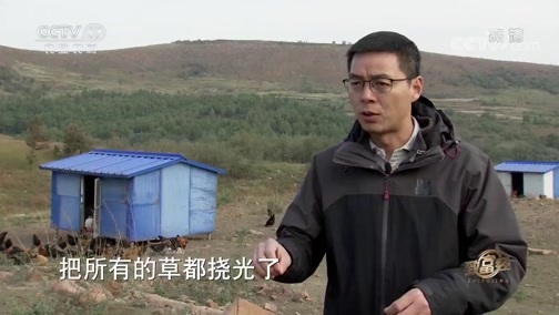 致富经 《致富经》 20191119 跳出舒适圈 乡村寻梦去