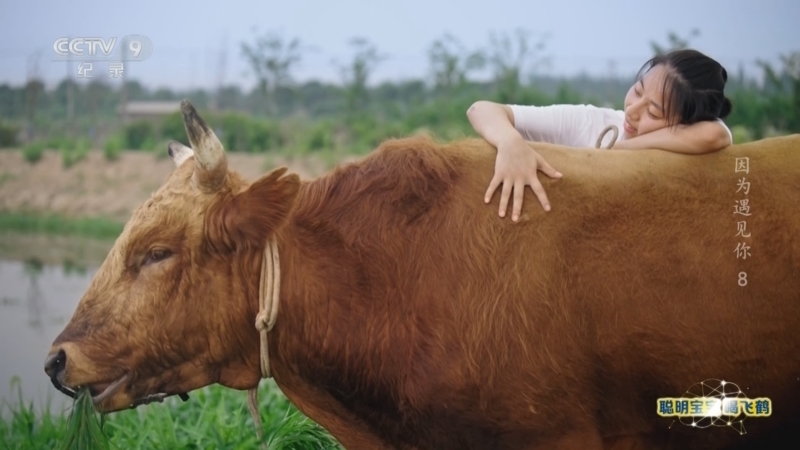 《因为遇见你》 第8集 就此告别吧