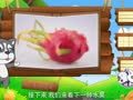 看图识物 哈密瓜 火龙果 猕猴