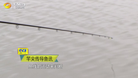 自游去钓 第一季 自游去钓: 搏大鱼, 手竿选择很重要, 腰力必须强劲!