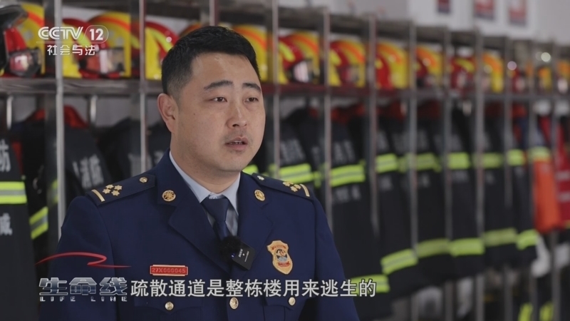 生命线 《生命线》 20241226