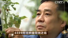致富经 [致富经]6500万元积蓄花光之后(20160329)