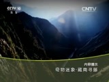地理中国 《地理中国》 20160406 奇物迷象·藏南寻藤