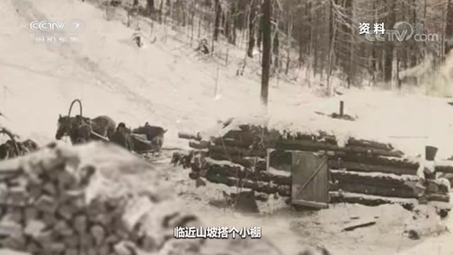 军迷行天下 《军迷行天下》 20200129 春节特别节目 抗联密营24小时（下集）