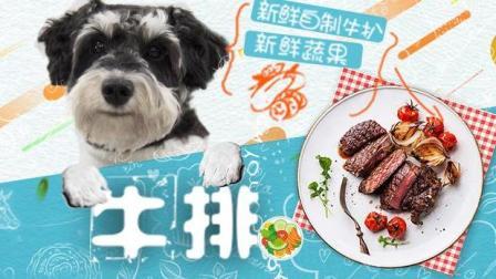 宠爱厨房 第一季 跳舞雪纳瑞自制牛排西兰花泥迎女神