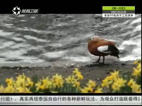 第一时尚 《第1时尚》 20140918
